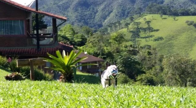 Chales Existe Um Lugar Maringá Εξωτερικό φωτογραφία